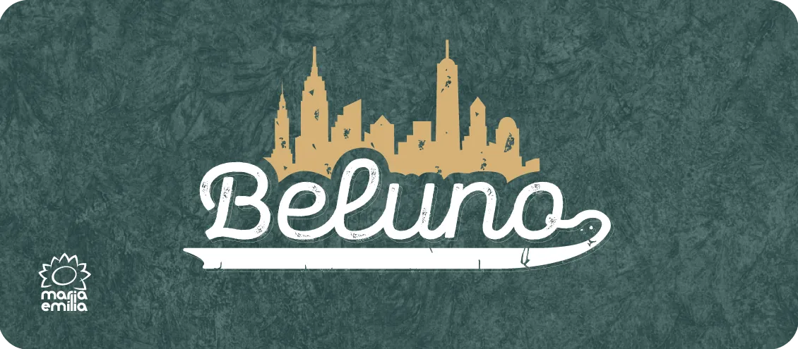 Banner Beluno