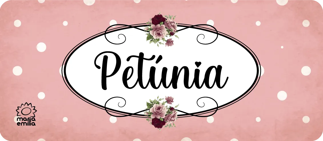 Banner Petúnia